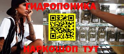 spice Краснокаменск