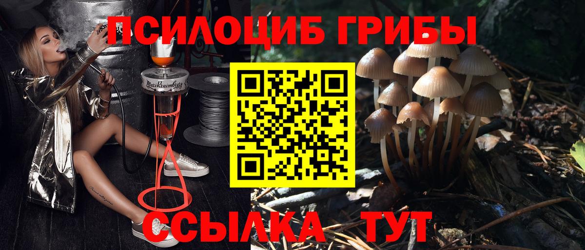 Псилоцибиновые грибы Cubensis Ялта