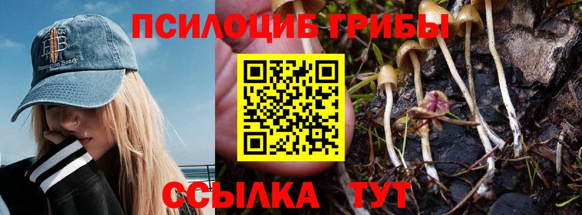 Псилоцибиновые грибы мицелий  Вход с VPN  купить наркотики сайты  Ялта 